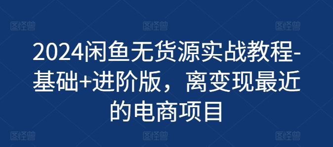 2024闲鱼无货源实战教程-基础+进阶版，离变现最近的电商项目-理想项目库