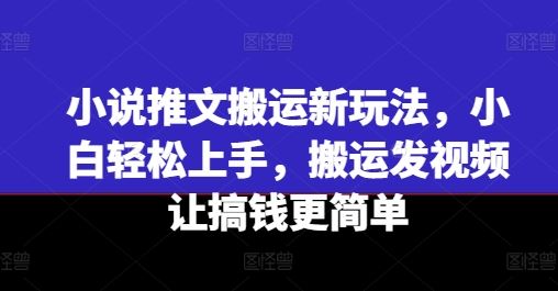 小说推文搬运新玩法，小白轻松上手，搬运发视频让搞钱更简单-理想项目库