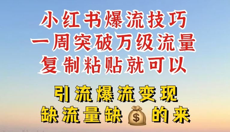 小红书爆流技巧，一周突破万级流量，复制粘贴就可以，引流爆流变现【揭秘】-理想项目库