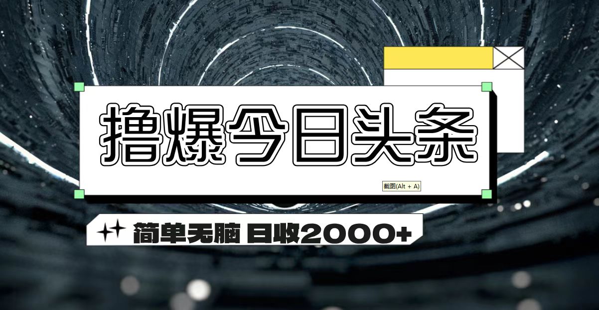 （11665期）撸爆今日头条 简单无脑操作 日收2000+-理想项目库