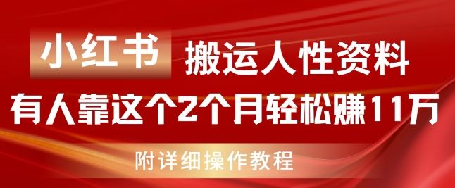 小红书搬运人性资料，有人靠这个2个月轻松赚11w，附教程【揭秘】-理想项目库