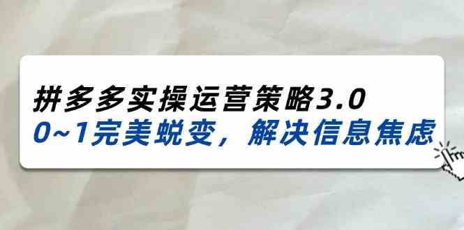 2024-2025拼多多实操运营策略3.0，0~1完美蜕变，解决信息焦虑（38节）-理想项目库