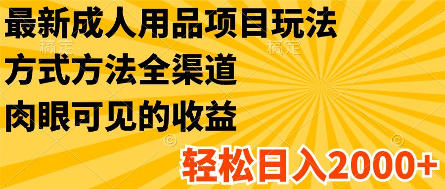 最新成人用品项目玩法，方式方法全渠道，肉眼可见的收益，轻松日入2000+-理想项目库