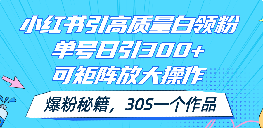 （11692期）小红书引高质量白领粉，单号日引300+，可放大操作，爆粉秘籍！30s一个作品-理想项目库