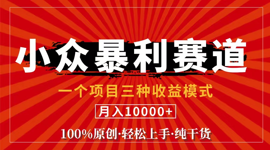 （11695期）视频号【中老年粉深信不疑】小众赛道 100%原创 手把手教学 新号3天收益…-理想项目库
