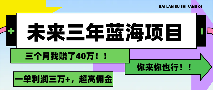（11716期）未来三年，蓝海赛道，月入3万+-理想项目库