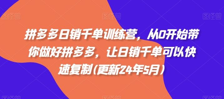拼多多日销千单训练营，从0开始带你做好拼多多，让日销千单可以快速复制(更新24年7月)-理想项目库