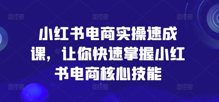 小红书电商实操速成课，让你快速掌握小红书电商核心技能-理想项目库
