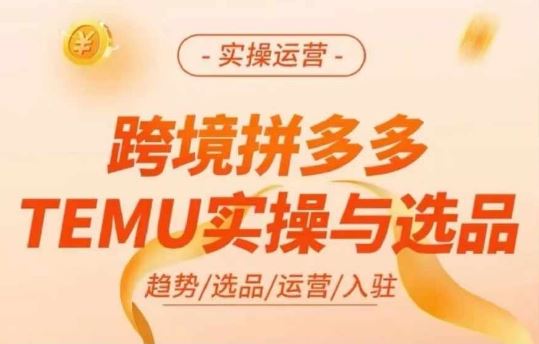 跨境拼多多TEMU实操与选品，多多temu跨境选品运营实操-理想项目库