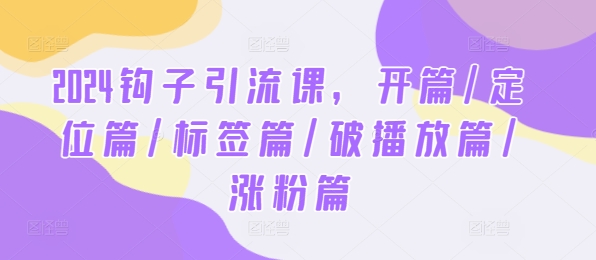 2024钩子引流课，开篇/定位篇/标签篇/破播放篇/涨粉篇-理想项目库