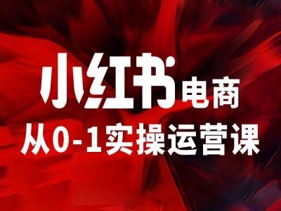 小红书电商从0-1实操运营课，让你从小白到精英-理想项目库