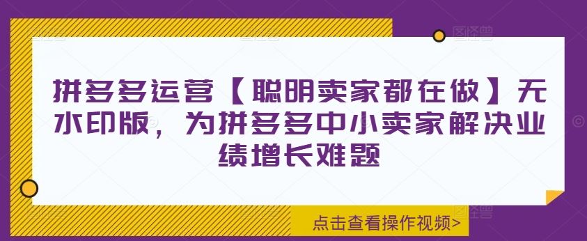 拼多多运营【聪明卖家都在做】无水印版，为拼多多中小卖家解决业绩增长难题-理想项目库