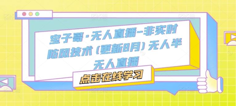 宝子哥·无人直播-非实时防风技术(更新8月)无人半无人直播-理想项目库