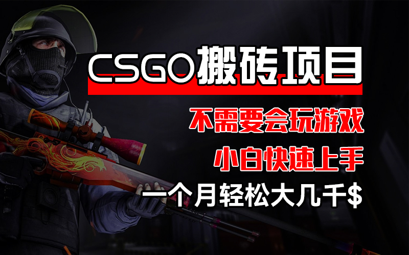 （12332期）CSGO 装备搬砖项目，操作简单，不需要会玩游戏，小白也能快速上手，一…-理想项目库