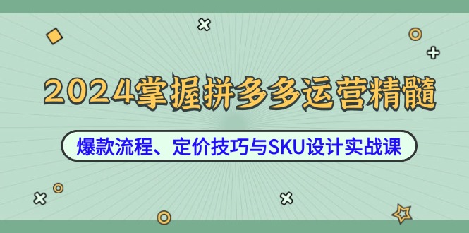 2024掌握拼多多运营精髓：爆款流程、定价技巧与SKU设计实战课-理想项目库