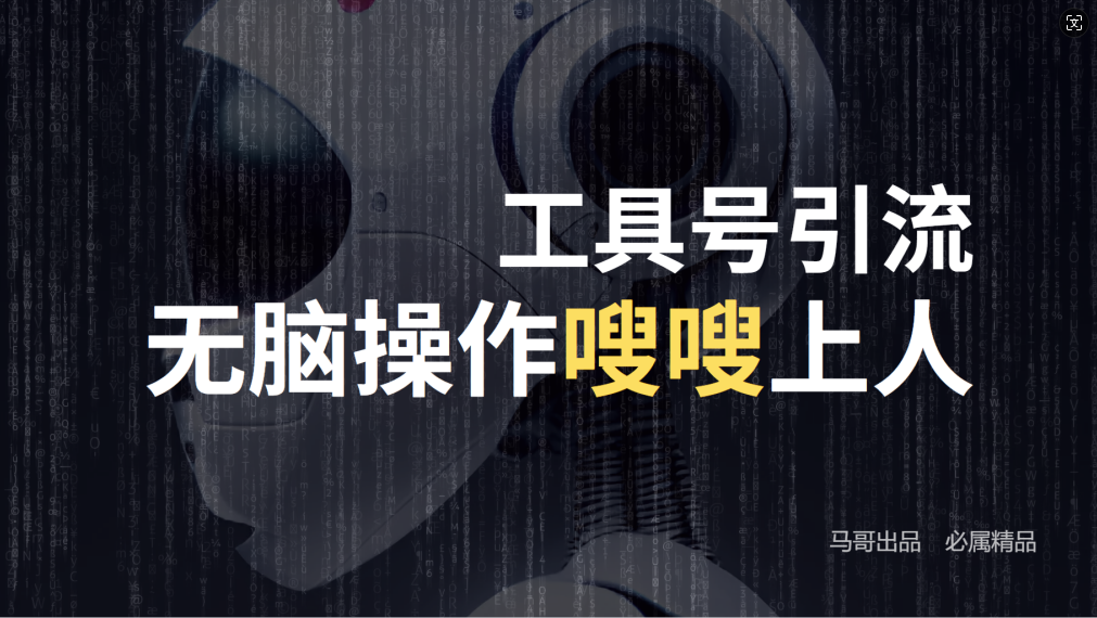 24年抖音最新工具号日引流300+创业粉，日入5000+-理想项目库