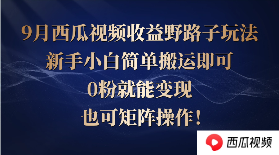 西瓜视频收益野路子玩法，新手小白简单搬运即可，0粉就能变现，也可矩…-理想项目库