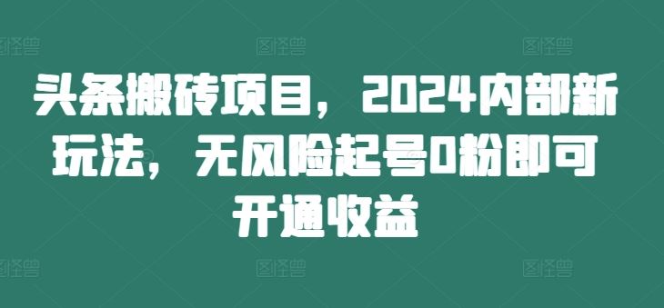 头条搬砖项目，2024内部新玩法，无风险起号0粉即可开通收益-理想项目库