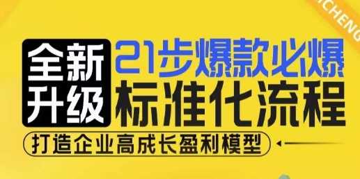 21步爆款必爆标准化流程，全新升级，打造企业高成长盈利模型-理想项目库