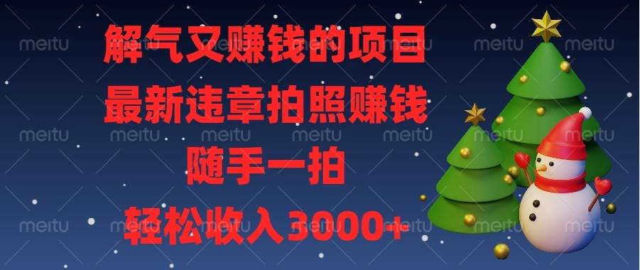 （13686期）解气又赚钱的项目，最新违章拍照赚钱，随手一拍，轻松收入3000+-理想项目库