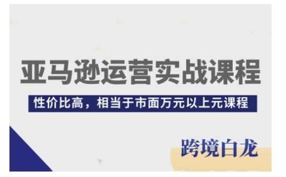 亚马逊运营实战课程，亚马逊从入门到精通，性价比高，相当于市面万元以上元课程-理想项目库