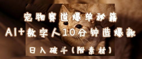 宠物赛道爆单秘籍：AI+数字人10分钟造爆款，日入1k-理想项目库