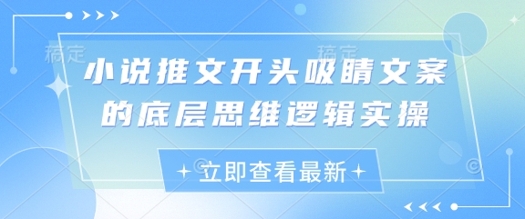 小说推文开头吸睛文案的底层思维逻辑实操-理想项目库