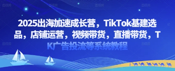 2025出海加速成长营，TikTok基建选品，店铺运营，视频带货，直播带货，TK广告投流等系统教程-理想项目库