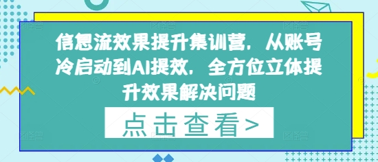 信息流效果提升集训营，从账号冷启动到AI提效，全方位立体提升效果解决问题-理想项目库