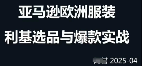跨境电商选品案例24-25年，聚焦跨境电商选品策略与运营优化，助力卖家挖掘蓝海市场-理想项目库