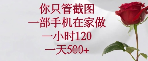你只管截图，一部手机在家可以做，一小时120.一天5张+【揭秘】-理想项目库