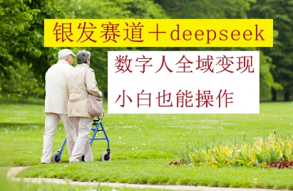 银发赛道+deepseek数字人全域变现，小白也能操作-理想项目库