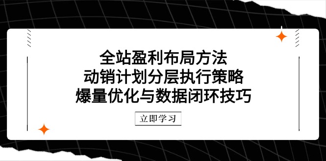 全站盈利布局方法：动销计划分层执行策略，爆量优化与数据闭环技巧-理想项目库