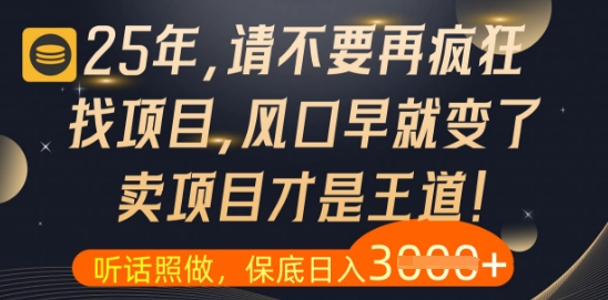 什么？25年你还在疯狂找项目做，醒醒吧，看完这些你全都懂了【揭秘】-理想项目库