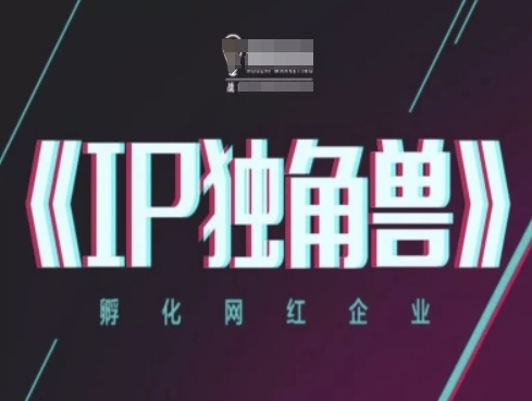IP独角兽，孵化网红企业，ip教程-理想项目库
