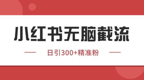 小红书只要你有同行就能获客，独家野路子获客玩法，暴力截流【揭秘】-理想项目库