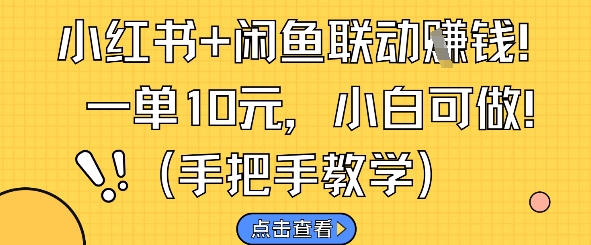 小红书+闲鱼联动挣钱，一单10元，小白可做-理想项目库