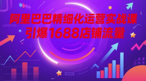 阿里巴巴精细化运营实战课，引爆1688店铺流量-理想项目库