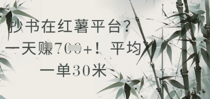 抄书在小红薯平台？平均一单30米，一天收益几张！-理想项目库