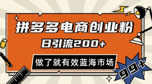 拼多多引流电商创业粉，日引200+，可矩阵放大，做了就有效【揭秘】-理想项目库