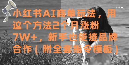 小红书AI商单玩法，用这个方法2个月涨粉7W+，新手也能接品牌合作(附全套指令模板)-理想项目库