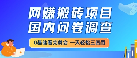 网创搬砖项目，国内问卷调查，小白轻松上手，一天三四张的也不难，干就完了【揭秘】-理想项目库