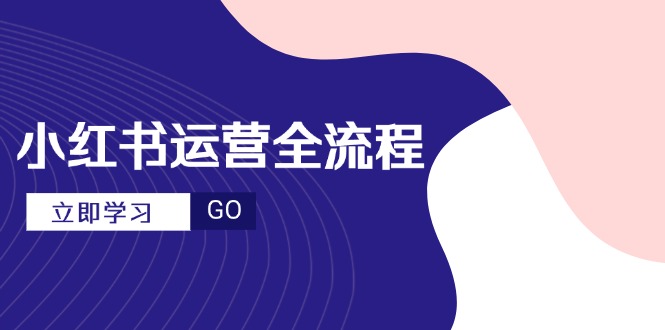 小红书运营全流程，爆款选题文案，视频制作技巧，进阶达人宝典-理想项目库