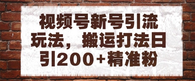 视频号新号引流玩法，搬运打法日引200+精准粉，可矩阵放大【揭秘】-理想项目库