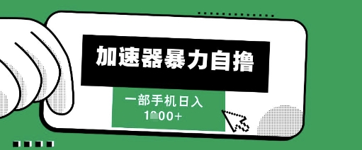 205新风口，加速器暴力自撸，单机日入1k+【揭秘】-理想项目库