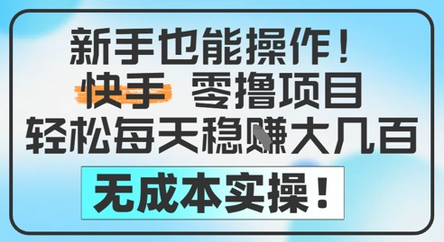 新手也能操作，快手零撸挣米，轻松每天挣2-5张，完全无成本-理想项目库