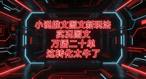 小说推文图文新玩法，实况图文，万播二十单，这转化太牛了！-理想项目库