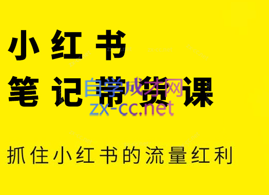 张宾·小红书笔记带货课(更新5月)-理想项目库