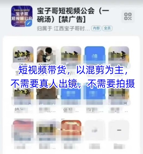 宝子哥头部团队短视频带货，以混剪为主，不需要真人出镜，不需要拍摄【更新】-理想项目库