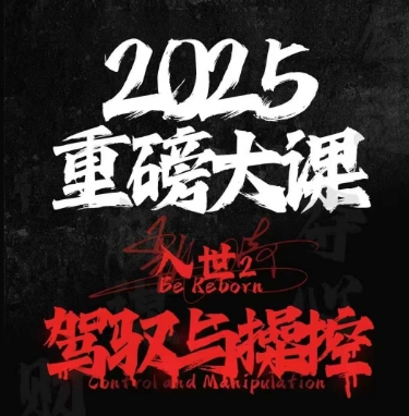 2025重磅大课，入世2，驾驭与控制-理想项目库